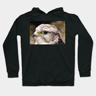 8CE377A3-Falcon cp Hoodie